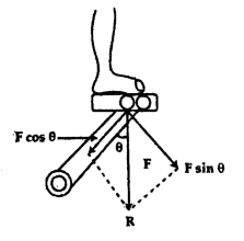 ZcUNI1lq